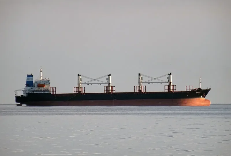 ARAYA Bulk Carrier IMO 9224843 photo 8