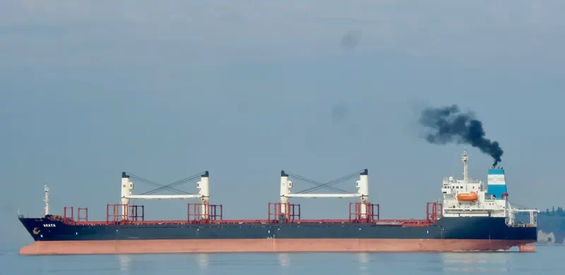 ARAYA Bulk Carrier IMO 9224843 photo 9