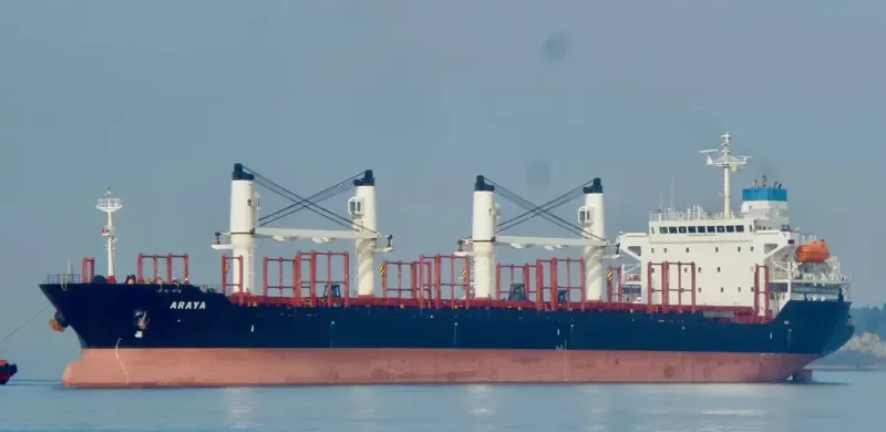 ARAYA Bulk Carrier IMO 9224843 photo 10