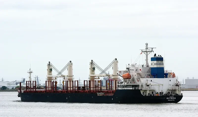 ALTHEA Bulk Carrier IMO 9224855