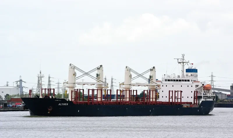 ALTHEA Bulk Carrier IMO 9224855 photo 2