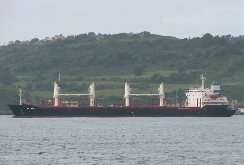 ALTHEA Bulk Carrier IMO 9224855 photo 3