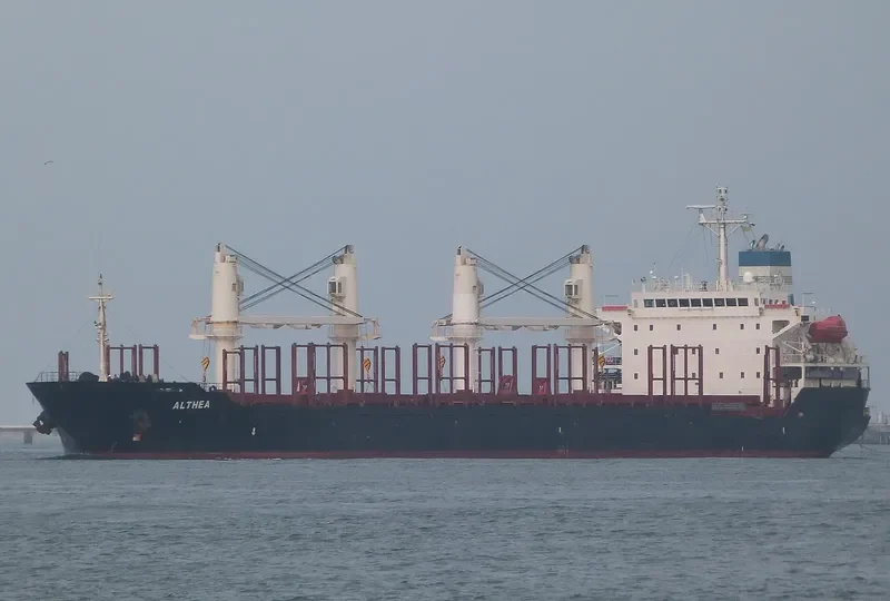 ALTHEA Bulk Carrier IMO 9224855 photo 4