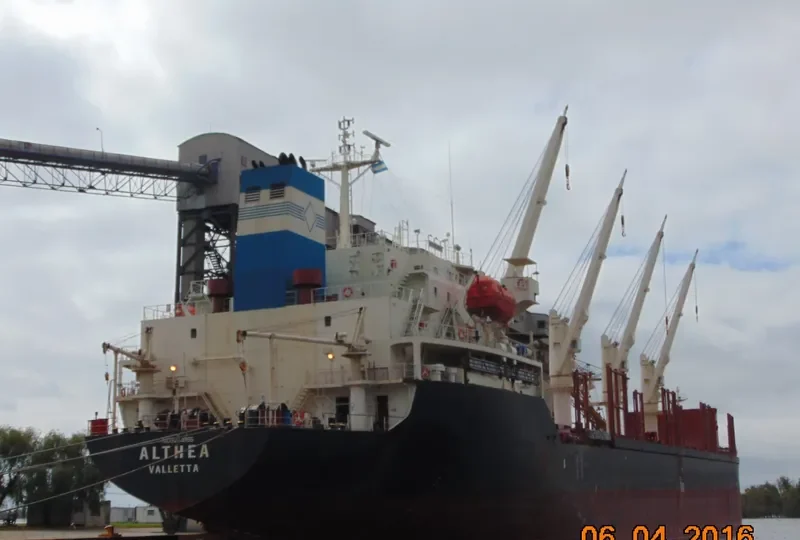 ALTHEA Bulk Carrier IMO 9224855 photo 6
