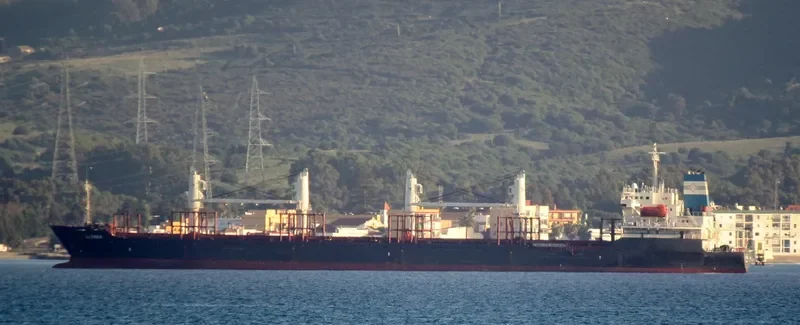 ALTHEA Bulk Carrier IMO 9224855 photo 7