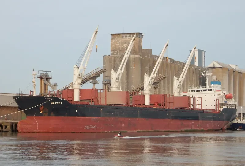 ALTHEA Bulk Carrier IMO 9224855 photo 8