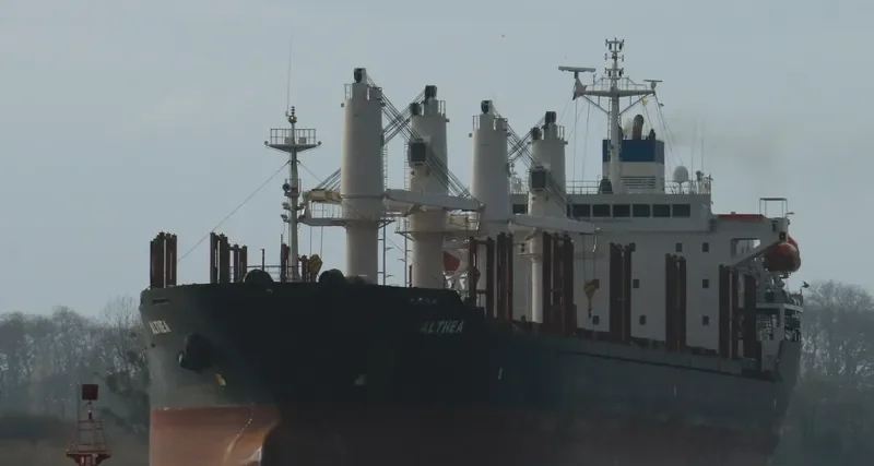 ALTHEA Bulk Carrier IMO 9224855 photo 9