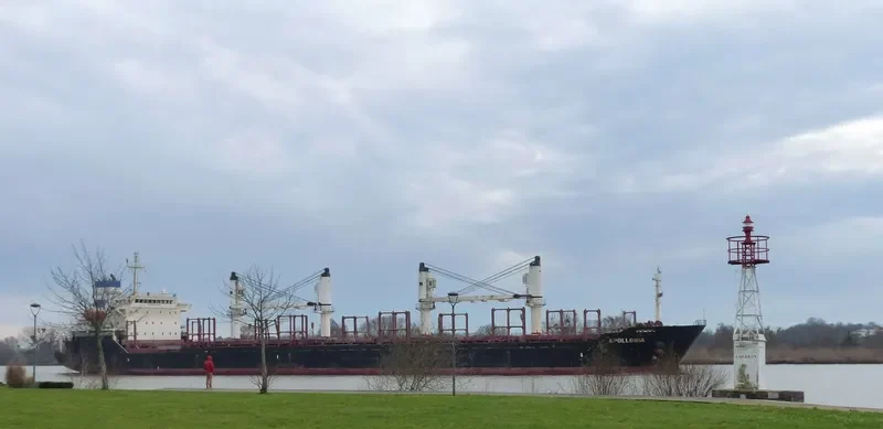 APOLLONIA Bulk Carrier IMO 9224867 photo 3