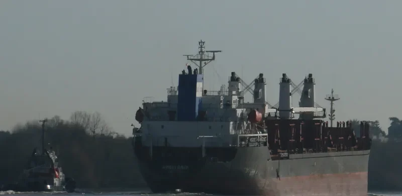 APOLLONIA Bulk Carrier IMO 9224867 photo 4