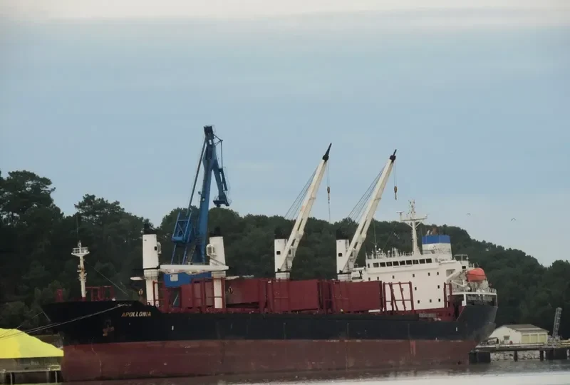 APOLLONIA Bulk Carrier IMO 9224867 photo 6