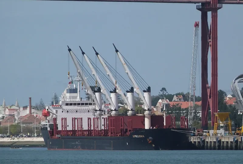 APOLLONIA Bulk Carrier IMO 9224867 photo 10