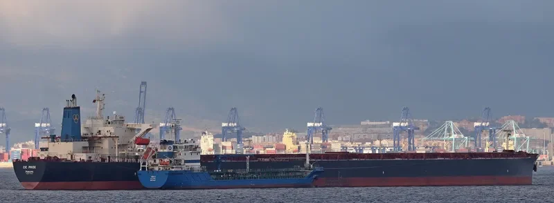 CIC PRIDE Bulk Carrier IMO 9224879
