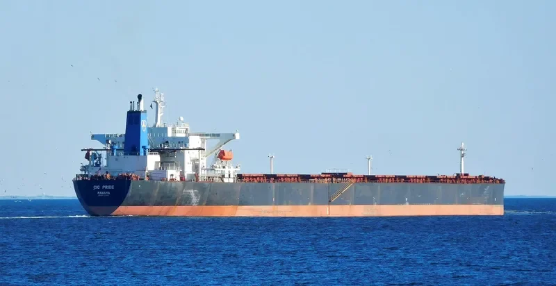 CIC PRIDE Bulk Carrier IMO 9224879 photo 3