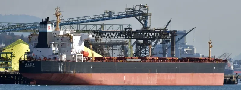 AVRA Bulk Carrier IMO 9224984 photo 4