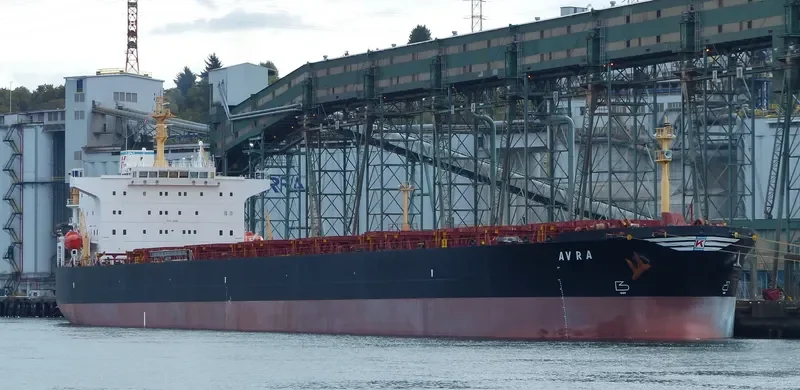AVRA Bulk Carrier IMO 9224984 photo 9
