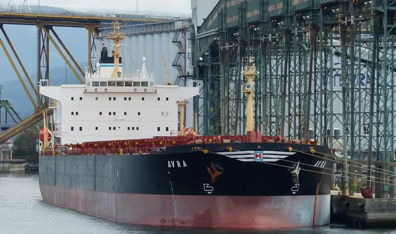 AVRA Bulk Carrier IMO 9224984 photo 10