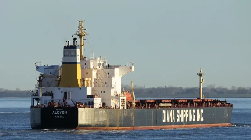 AQUAMAN Bulk Carrier IMO 9225029 photo 2