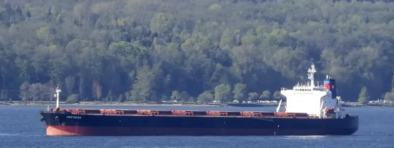 ARETHUSA I Bulk Carrier IMO 9225031 photo 3