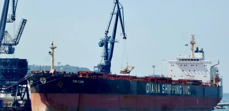 SCARLET LADY Bulk Carrier IMO 9225043 photo 3