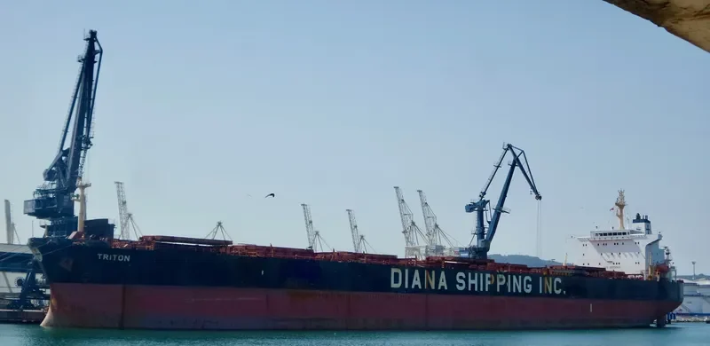 SCARLET LADY Bulk Carrier IMO 9225043 photo 4