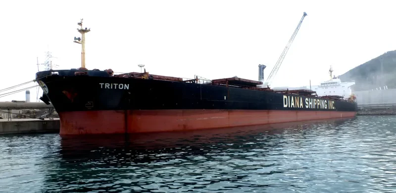SCARLET LADY Bulk Carrier IMO 9225043 photo 5