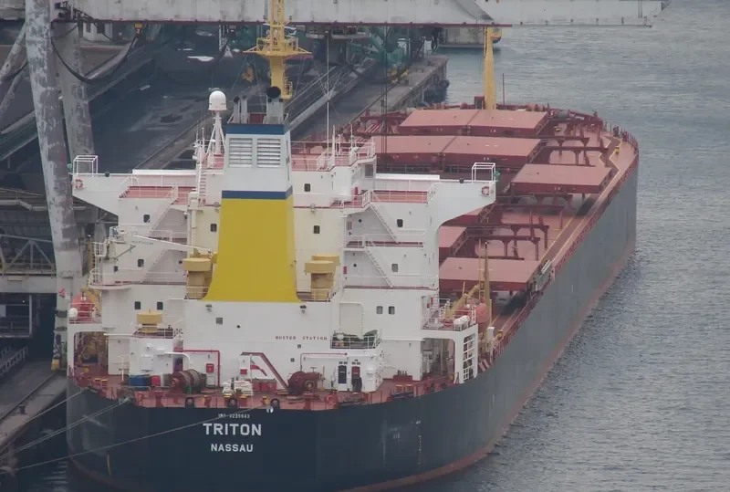SCARLET LADY Bulk Carrier IMO 9225043 photo 16