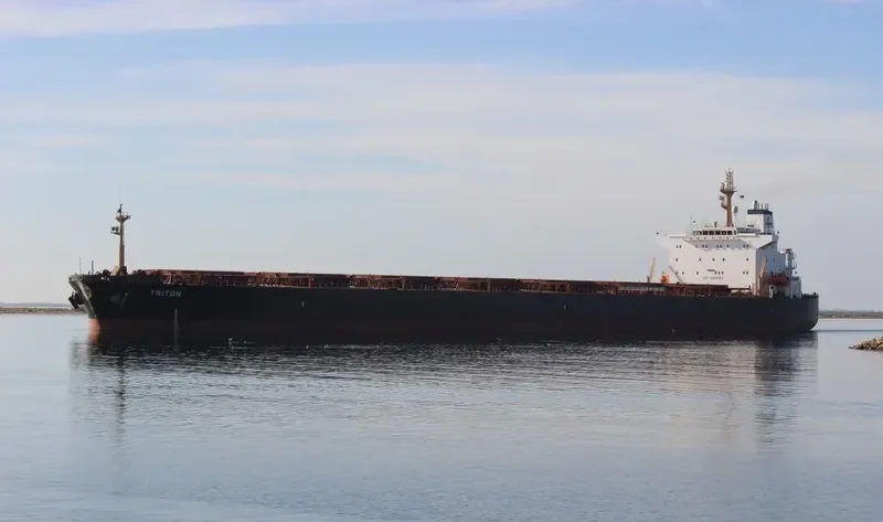 SCARLET LADY Bulk Carrier IMO 9225043 photo 34