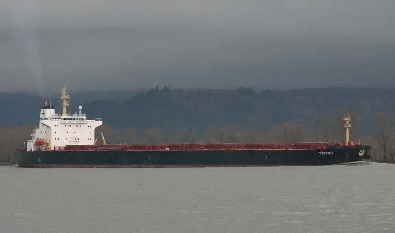 SCARLET LADY Bulk Carrier IMO 9225043 photo 40