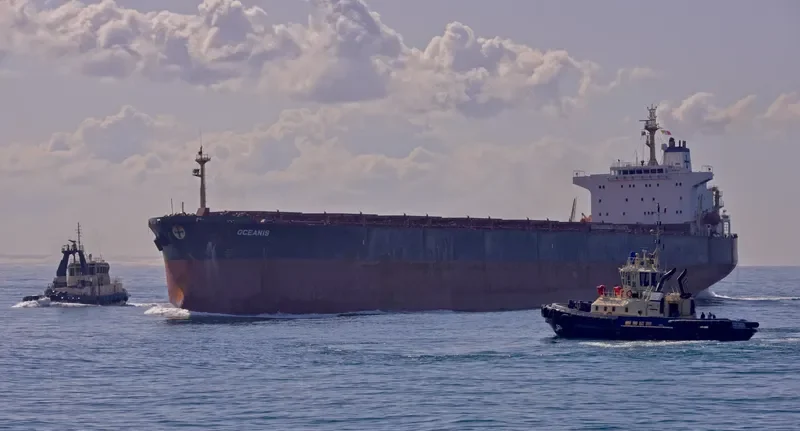 AC SHANGHAI Bulk Carrier IMO 9225055 photo 8