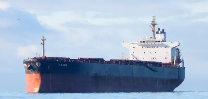 AC SHANGHAI Bulk Carrier IMO 9225055 photo 10