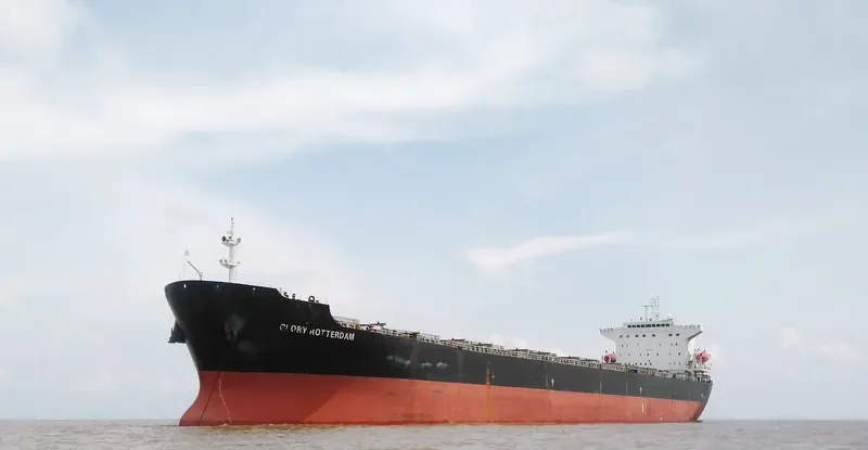 DONG FANG XIANG TONG Bulk Carrier IMO 9225196 photo 2