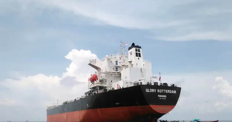 DONG FANG XIANG TONG Bulk Carrier IMO 9225196 photo 3