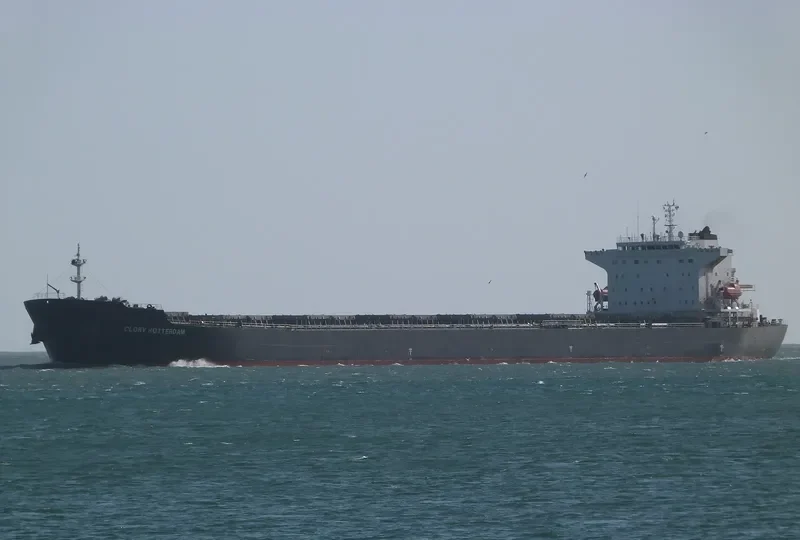 DONG FANG XIANG TONG Bulk Carrier IMO 9225196 photo 9