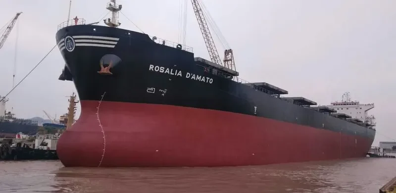 HE FAN Bulk Carrier IMO 9225201