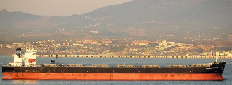 HE FAN Bulk Carrier IMO 9225201 photo 3