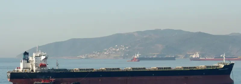 HE FAN Bulk Carrier IMO 9225201 photo 4