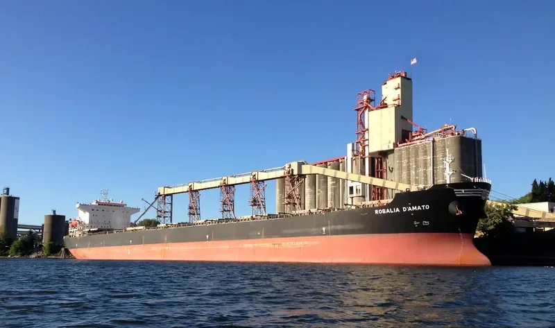 HE FAN Bulk Carrier IMO 9225201 photo 5