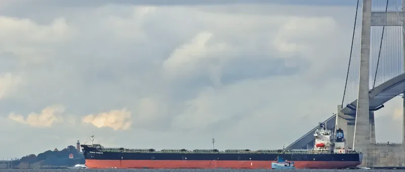 HE FAN Bulk Carrier IMO 9225201 photo 7