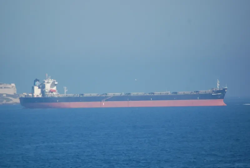 HE FAN Bulk Carrier IMO 9225201 photo 8