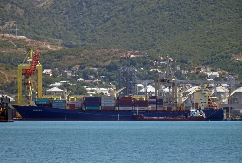 ARI Container Ship IMO 9225421 photo 2