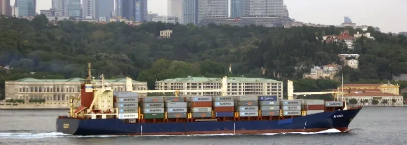 ARI Container Ship IMO 9225421 photo 5
