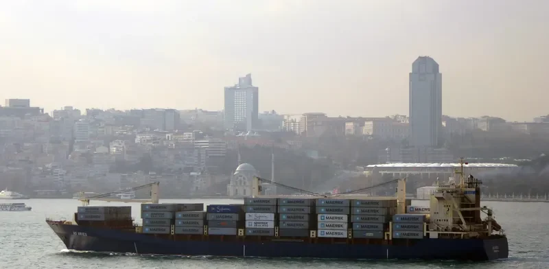 ARI Container Ship IMO 9225421 photo 9