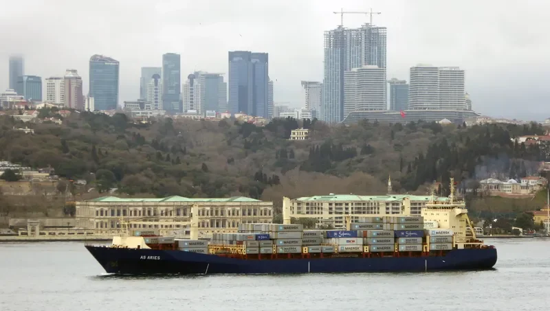 ARI Container Ship IMO 9225421 photo 10