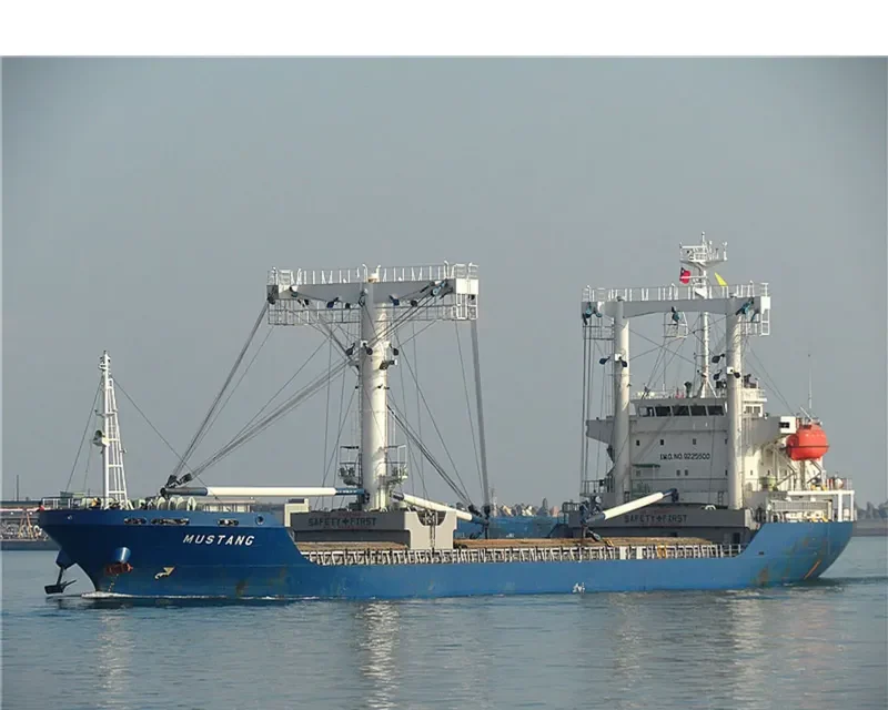 RICH BRIGHT General Cargo IMO 9225500 photo 10