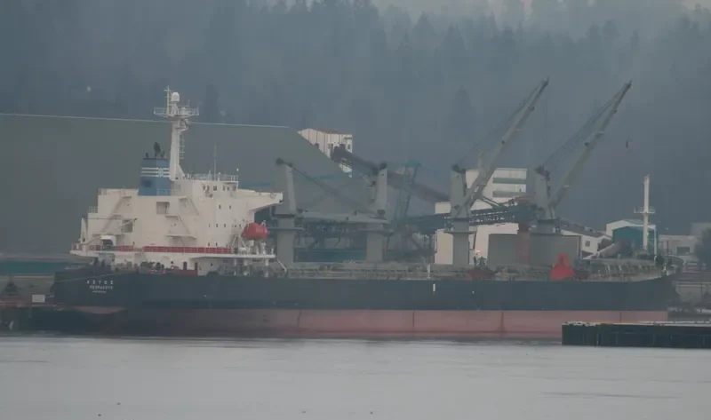 MARVEL Bulk Carrier IMO 9225524 photo 8
