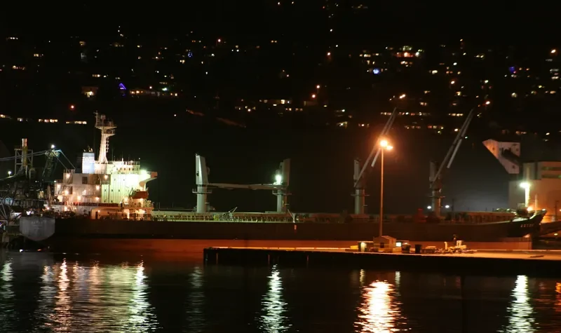 MARVEL Bulk Carrier IMO 9225524 photo 9