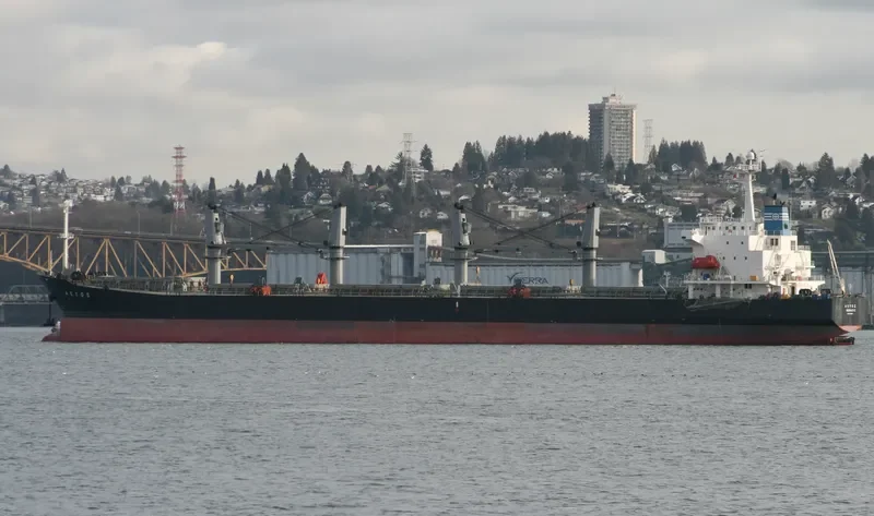 MARVEL Bulk Carrier IMO 9225524 photo 10