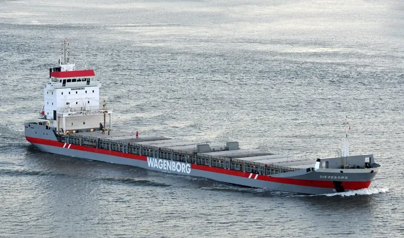 DIEZEBORG Container Ship IMO 9225586 photo 7