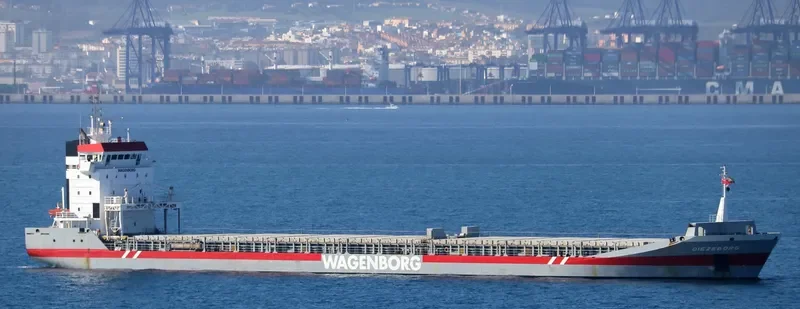 DIEZEBORG Container Ship IMO 9225586 photo 9
