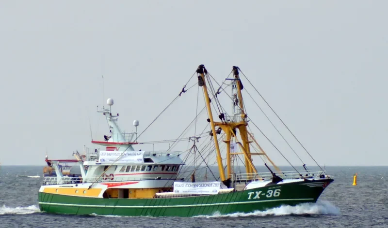 TX43 BIEM V D VIS General Cargo IMO 9225627 photo 2